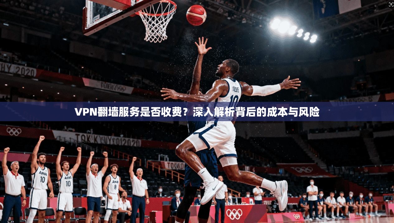 VPN翻墙服务是否收费？深入解析背后的成本与风险