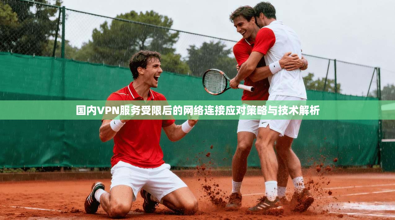 国内VPN服务受限后的网络连接应对策略与技术解析