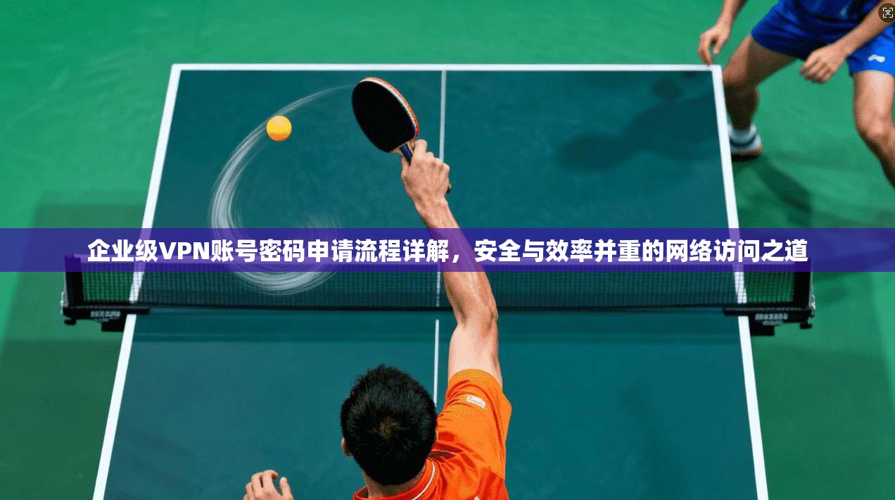 企业级VPN账号密码申请流程详解，安全与效率并重的网络访问之道