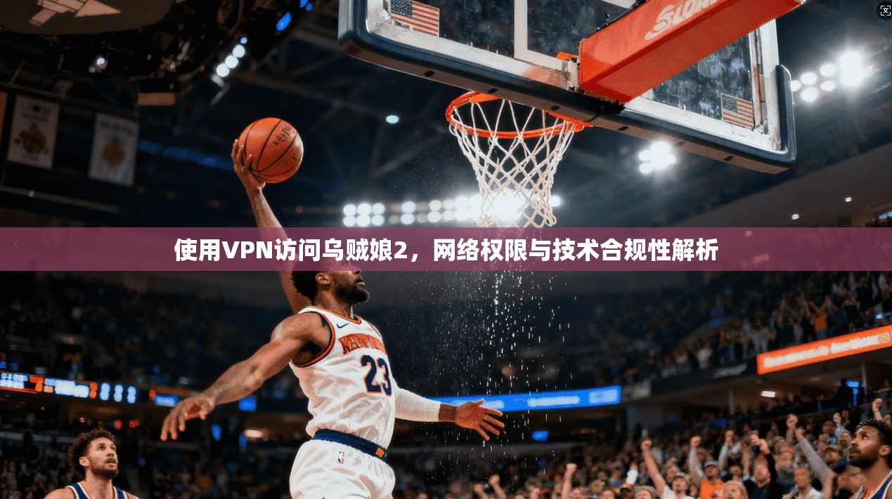 使用VPN访问乌贼娘2，网络权限与技术合规性解析