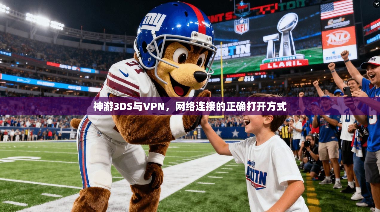 神游3DS与VPN，网络连接的正确打开方式