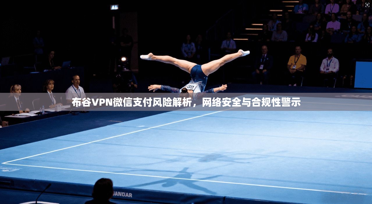 布谷VPN微信支付风险解析，网络安全与合规性警示