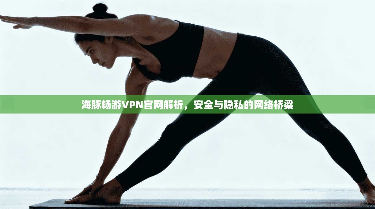 海豚畅游VPN官网解析，安全与隐私的网络桥梁