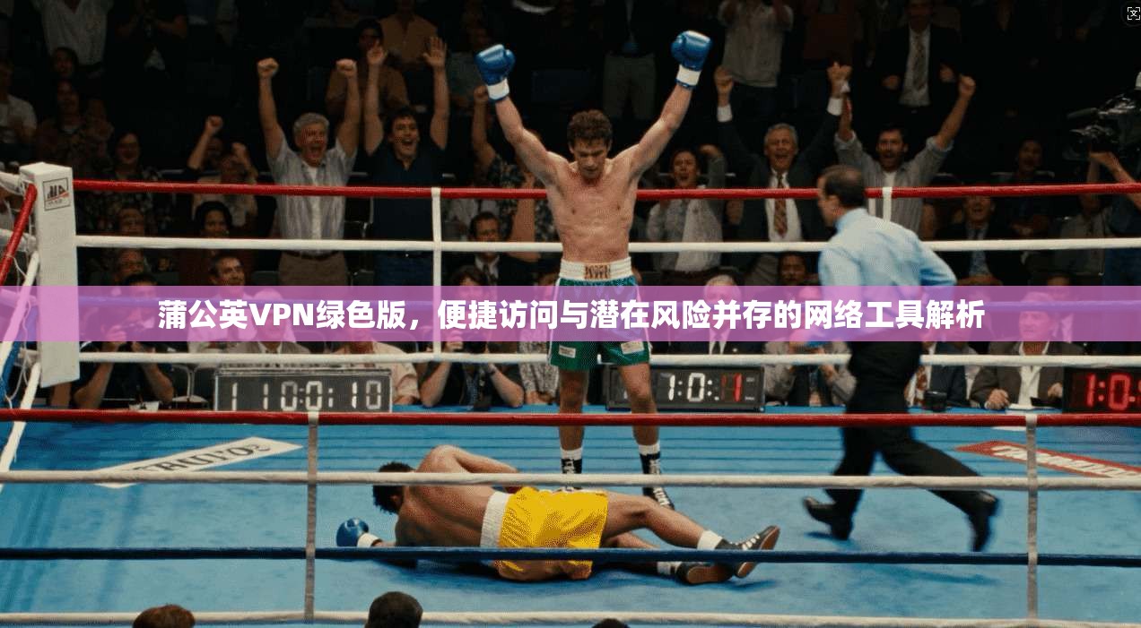 蒲公英VPN绿色版，便捷访问与潜在风险并存的网络工具解析