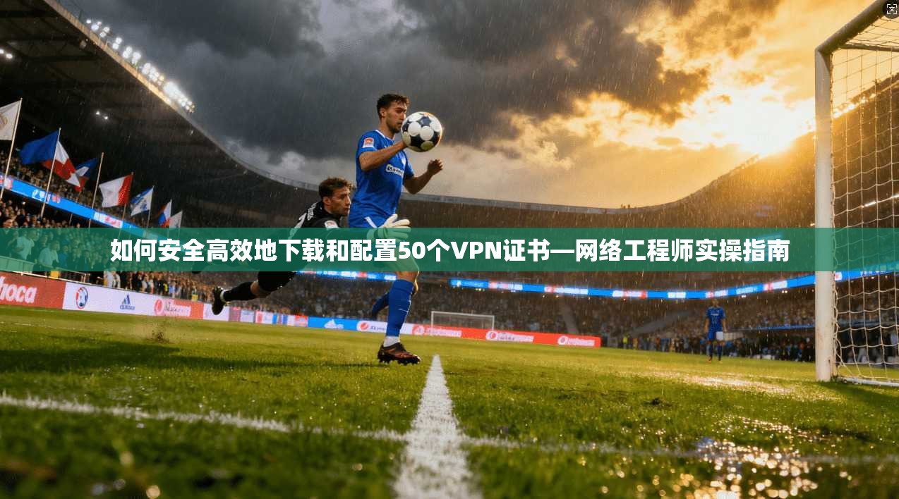如何安全高效地下载和配置50个VPN证书—网络工程师实操指南
