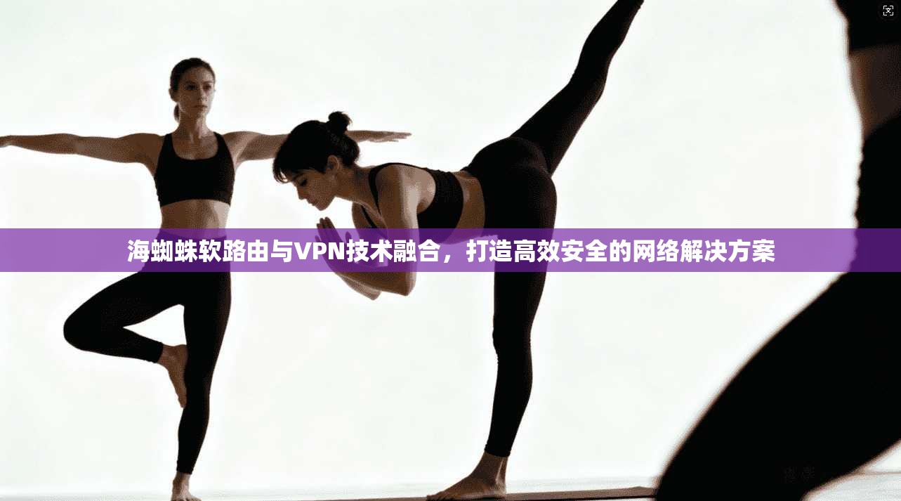 海蜘蛛软路由与VPN技术融合，打造高效安全的网络解决方案