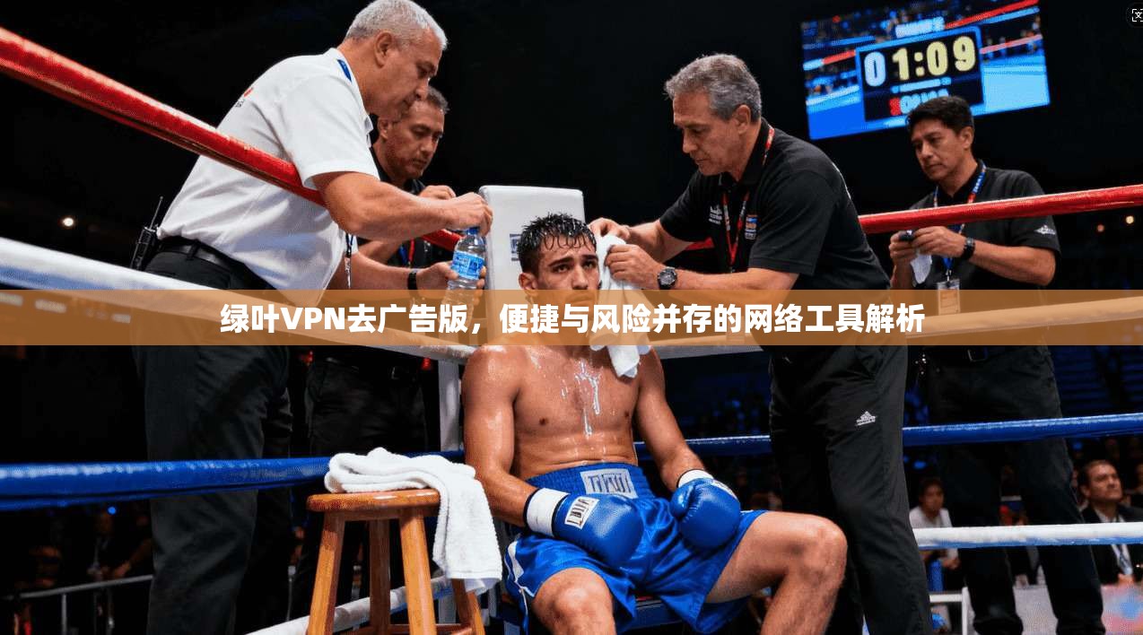 绿叶VPN去广告版，便捷与风险并存的网络工具解析