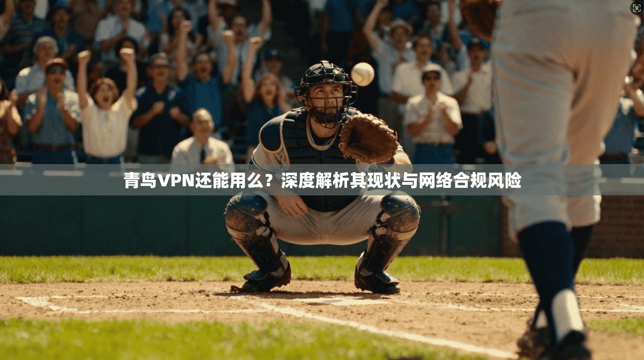 青鸟VPN还能用么？深度解析其现状与网络合规风险