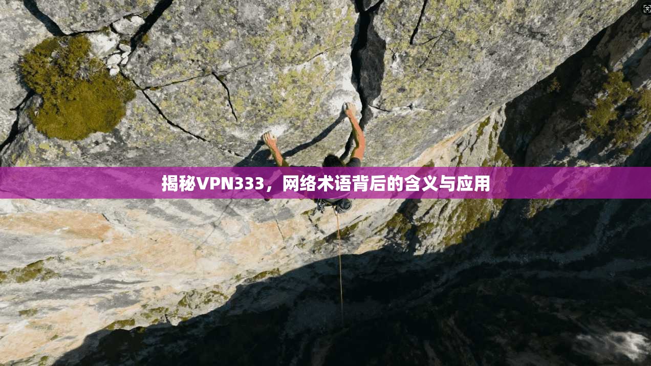 揭秘VPN333，网络术语背后的含义与应用
