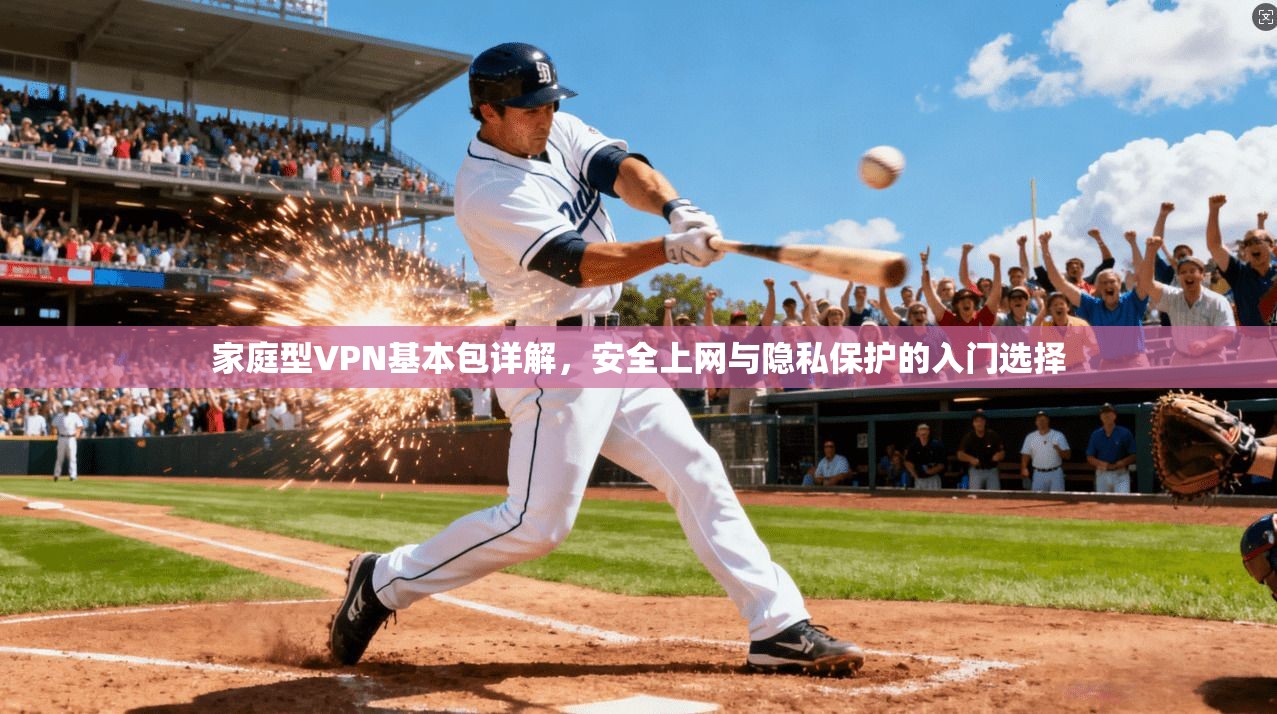 家庭型VPN基本包详解，安全上网与隐私保护的入门选择