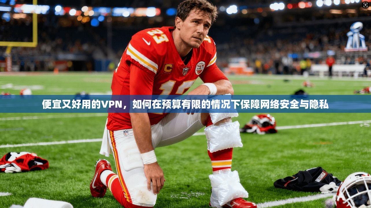 便宜又好用的VPN，如何在预算有限的情况下保障网络安全与隐私