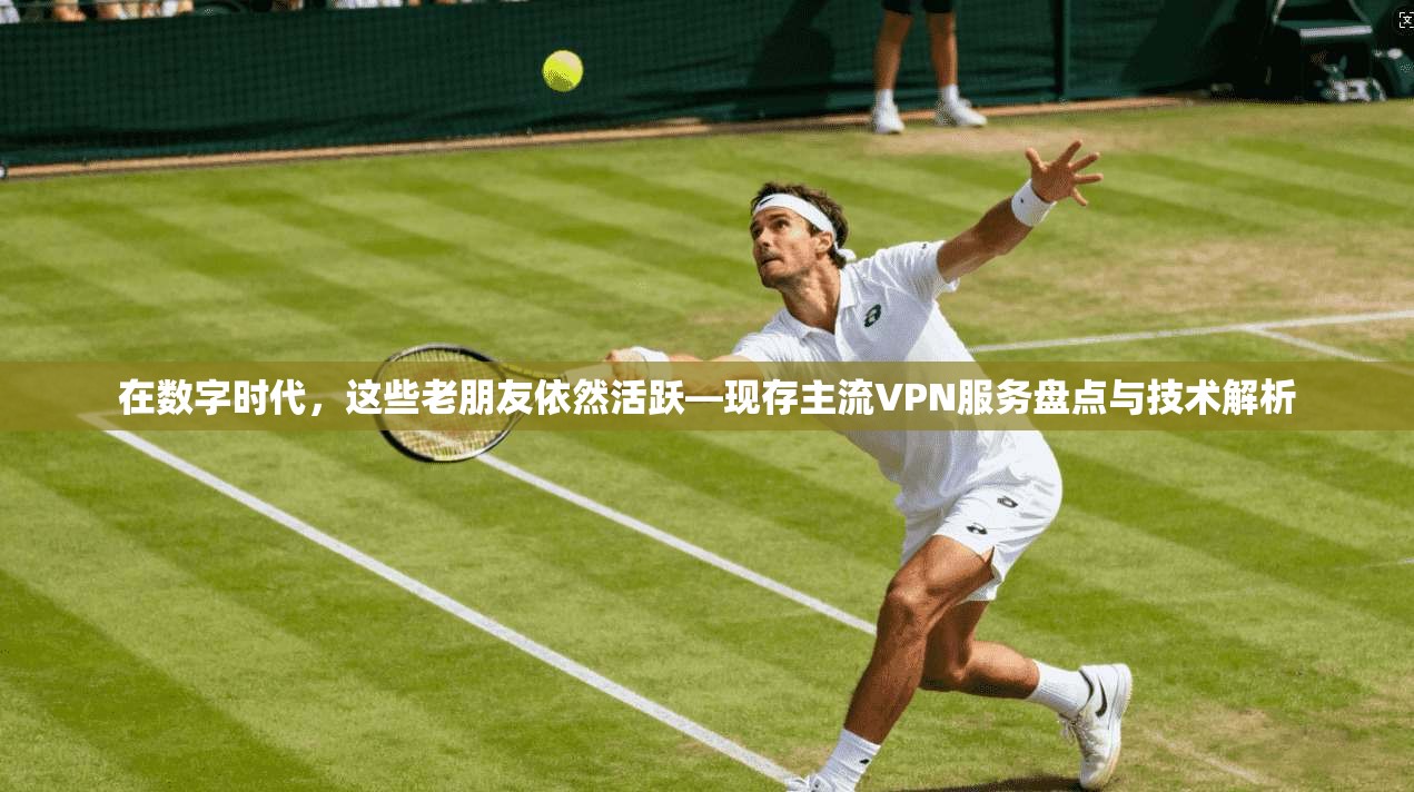 在数字时代，这些老朋友依然活跃—现存主流VPN服务盘点与技术解析