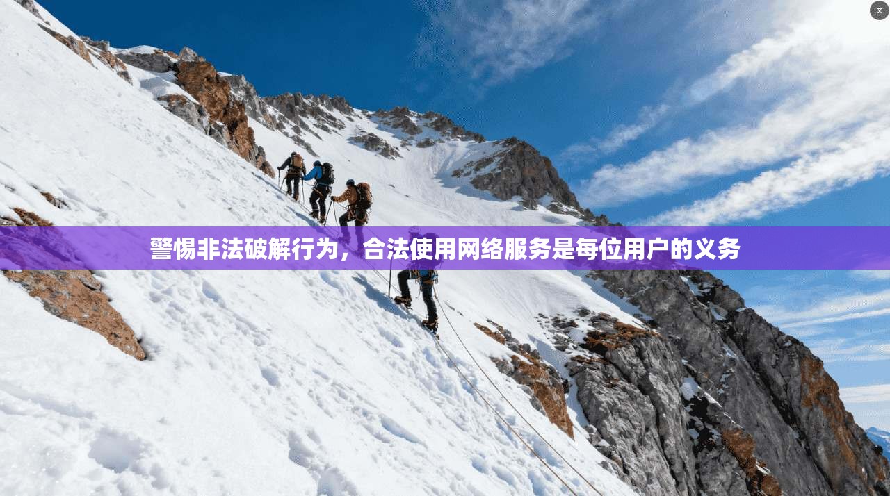 警惕非法破解行为，合法使用网络服务是每位用户的义务