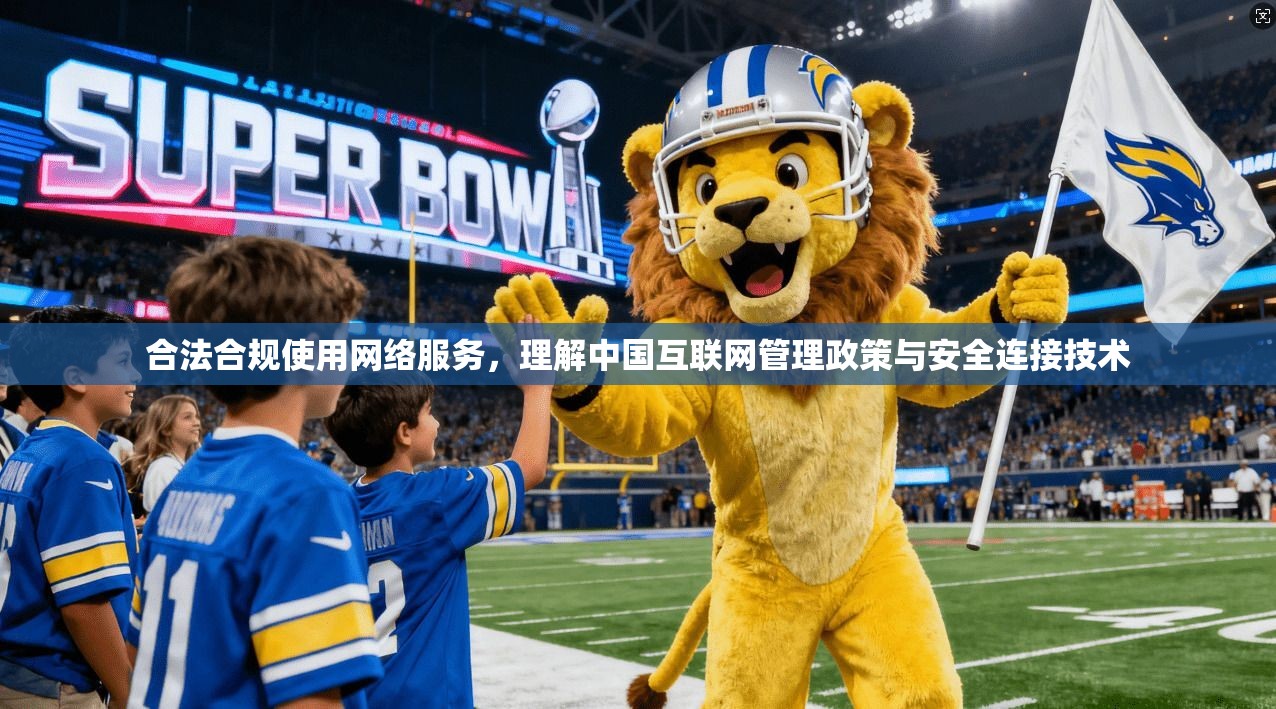 合法合规使用网络服务，理解中国互联网管理政策与安全连接技术