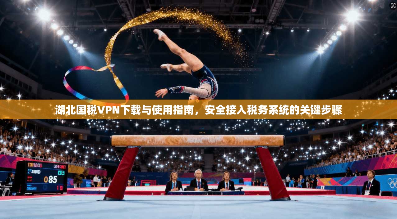 湖北国税VPN下载与使用指南，安全接入税务系统的关键步骤