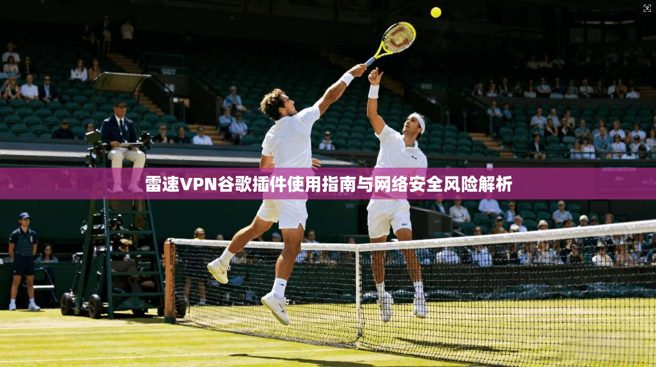 雷速VPN谷歌插件使用指南与网络安全风险解析