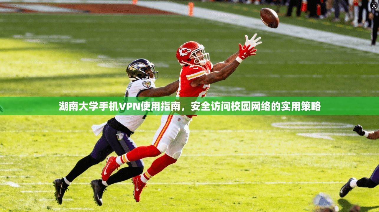 湖南大学手机VPN使用指南，安全访问校园网络的实用策略