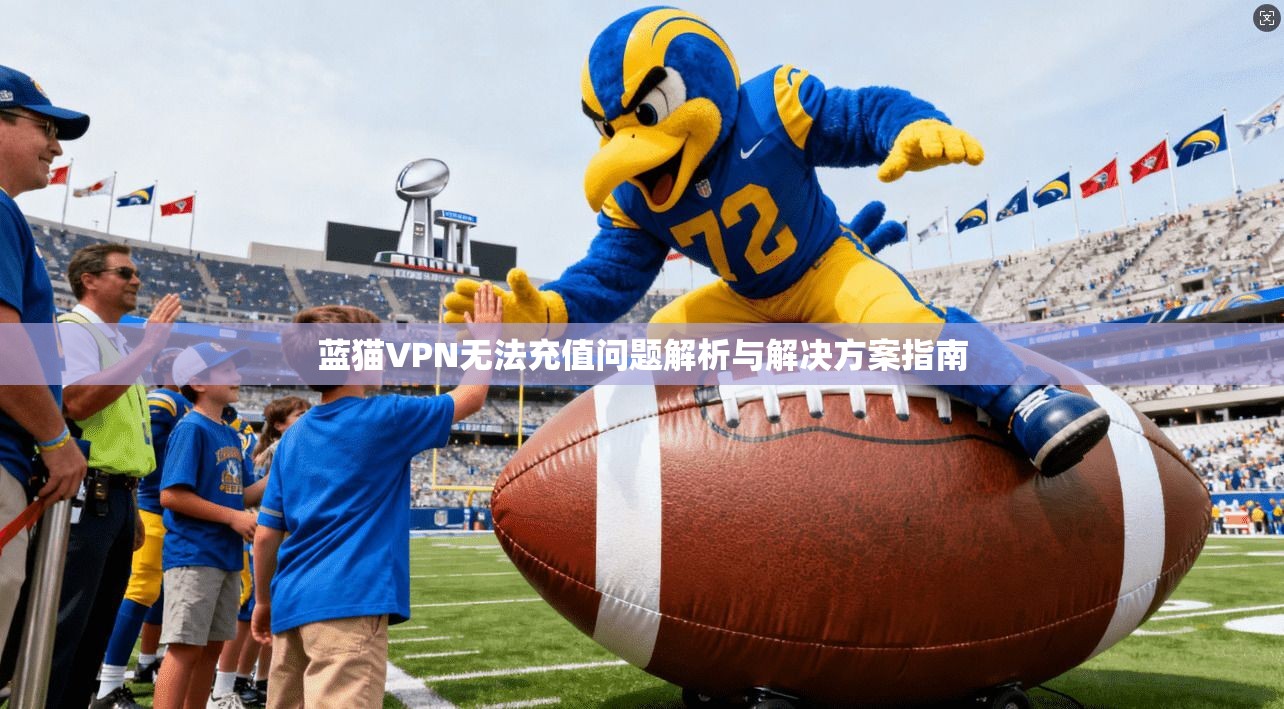蓝猫VPN无法充值问题解析与解决方案指南