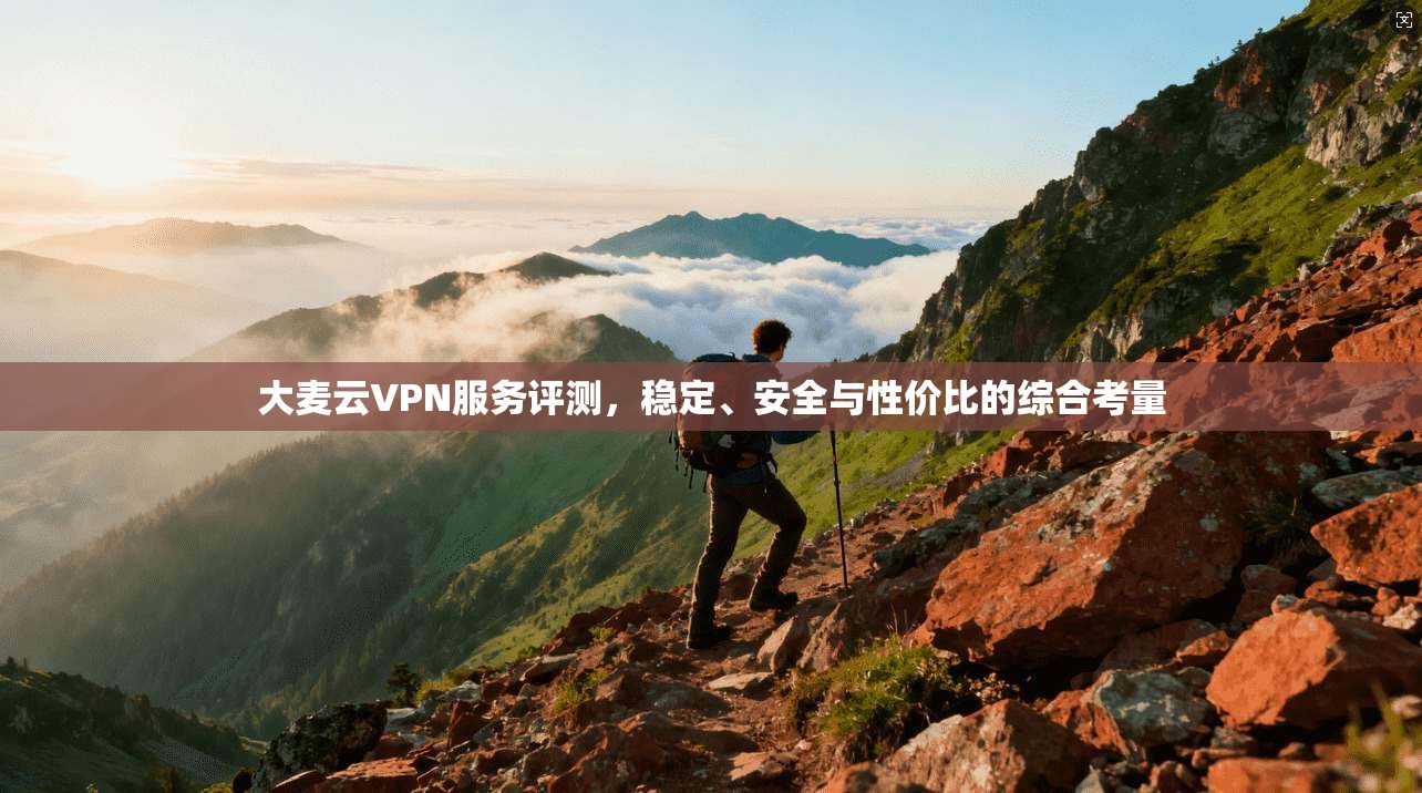大麦云VPN服务评测，稳定、安全与性价比的综合考量