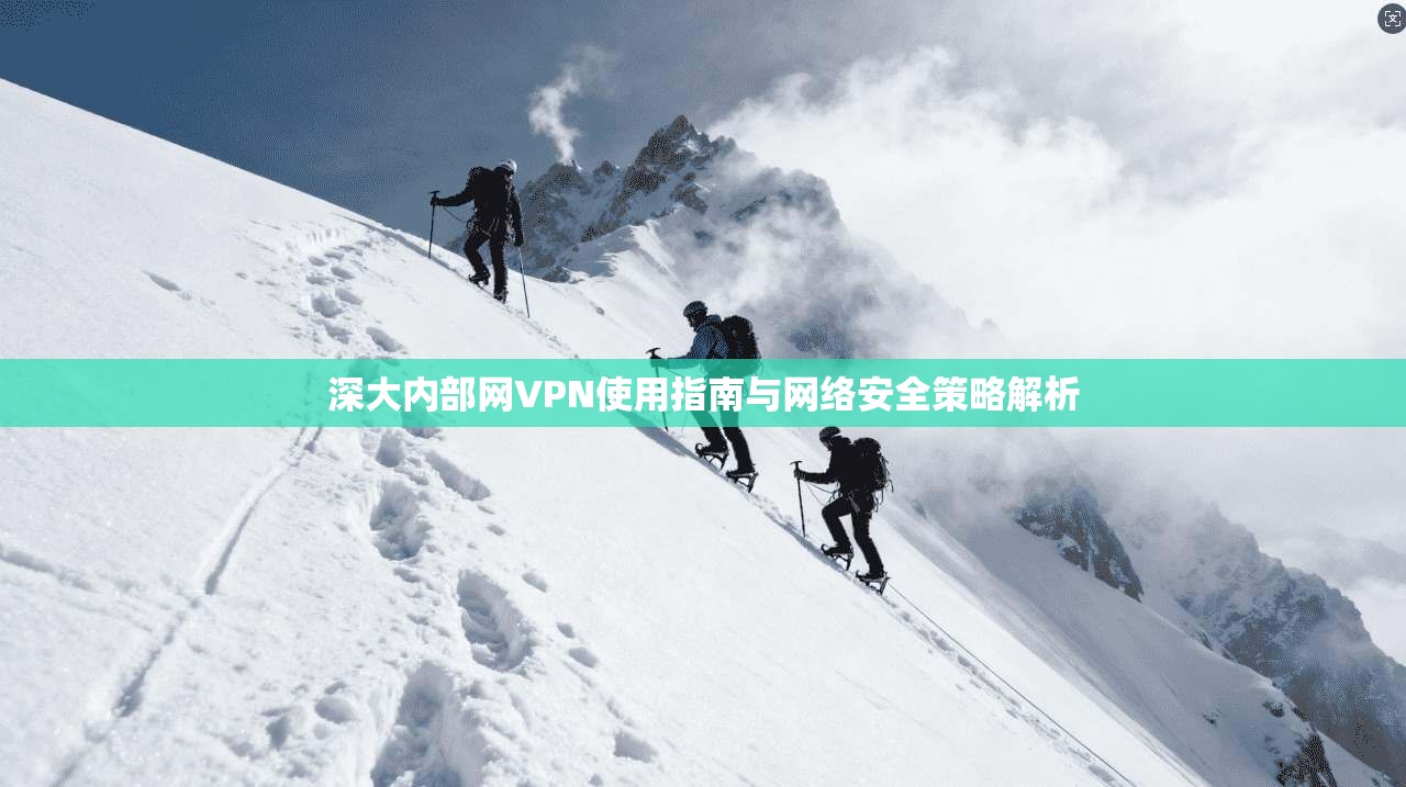 深大内部网VPN使用指南与网络安全策略解析