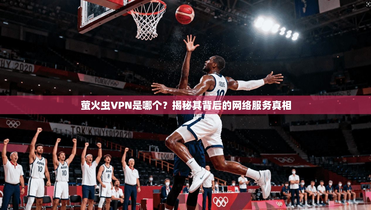 萤火虫VPN是哪个？揭秘其背后的网络服务真相