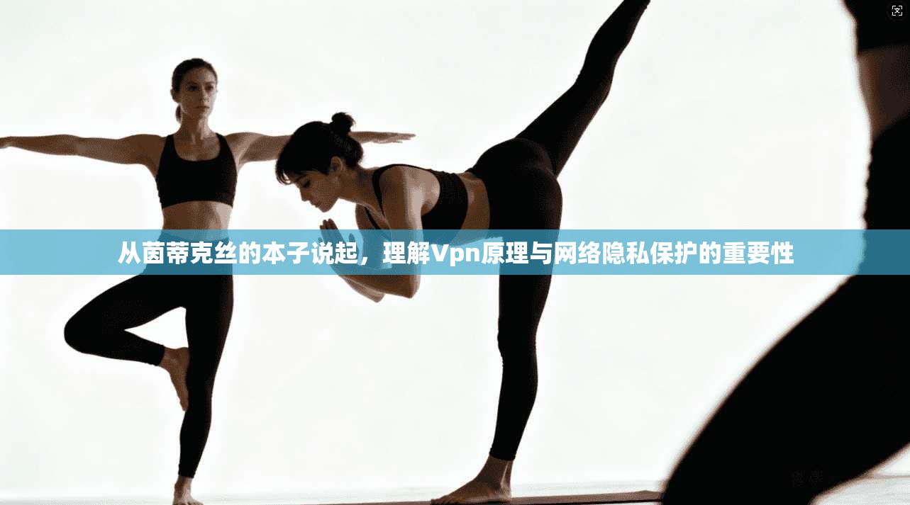 从茵蒂克丝的本子说起，理解Vpn原理与网络隐私保护的重要性