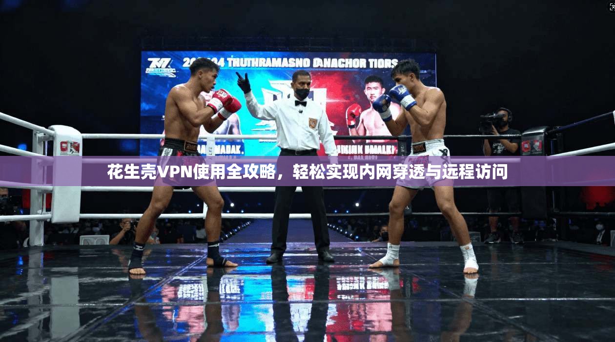 花生壳VPN使用全攻略，轻松实现内网穿透与远程访问