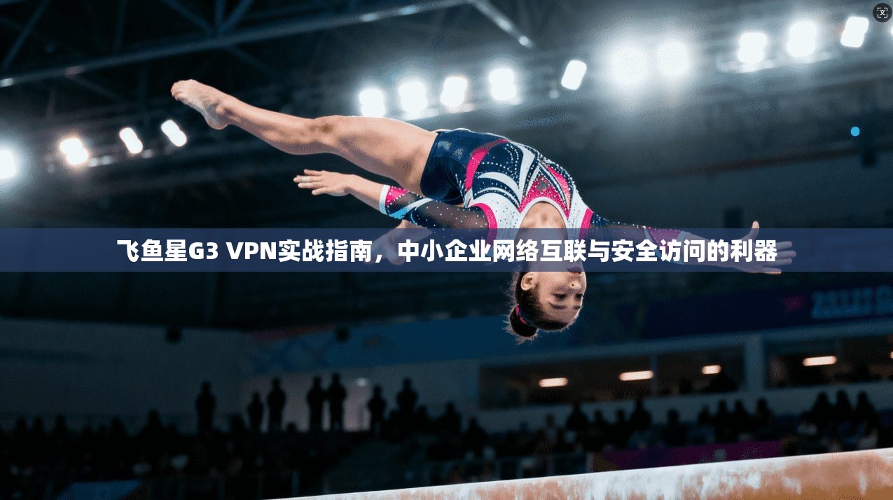 飞鱼星G3 VPN实战指南，中小企业网络互联与安全访问的利器