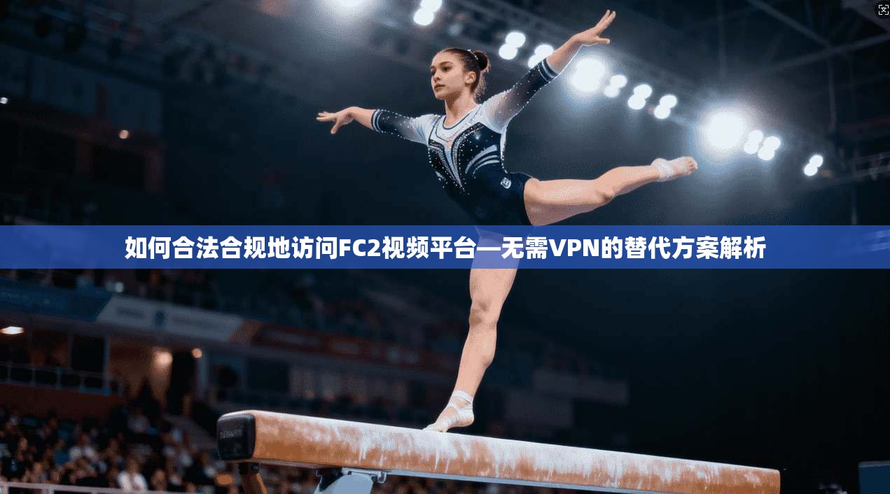 如何合法合规地访问FC2视频平台—无需VPN的替代方案解析