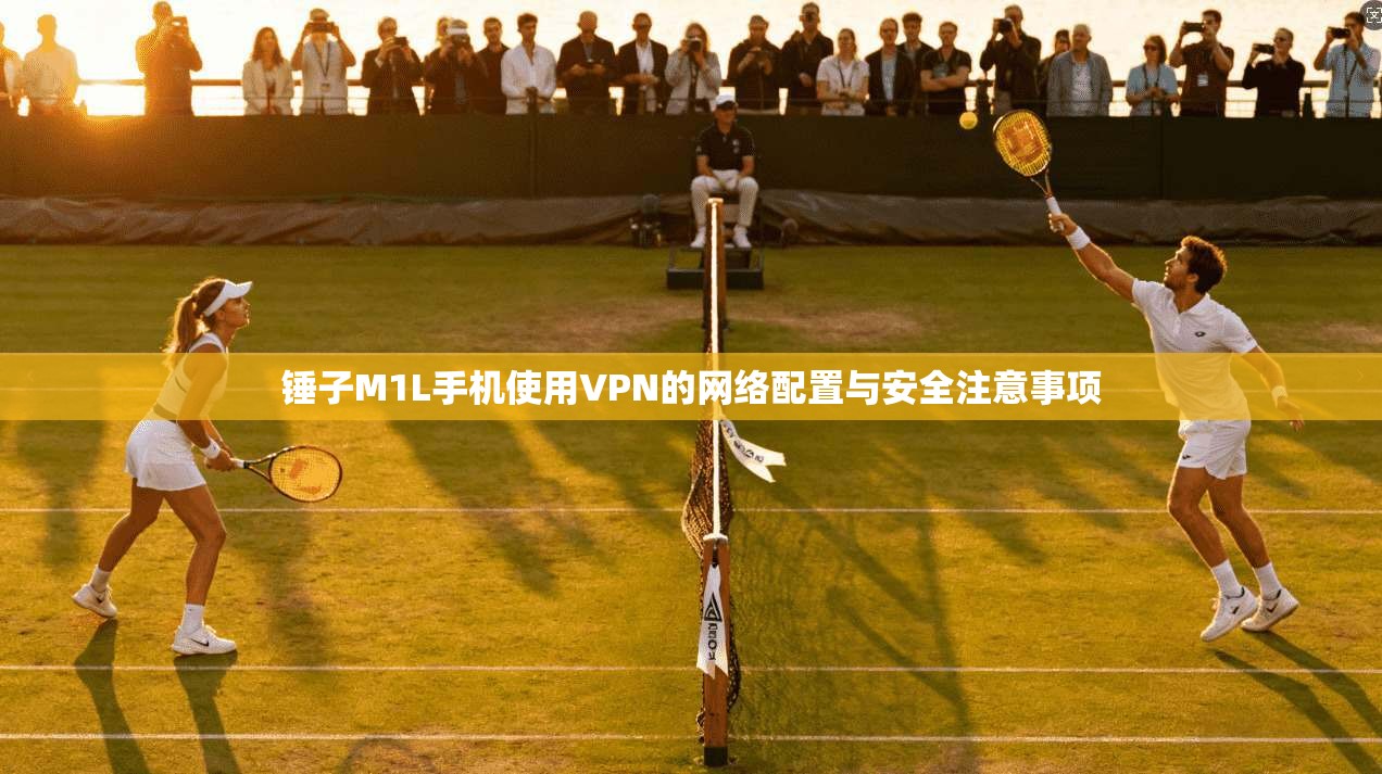 锤子M1L手机使用VPN的网络配置与安全注意事项