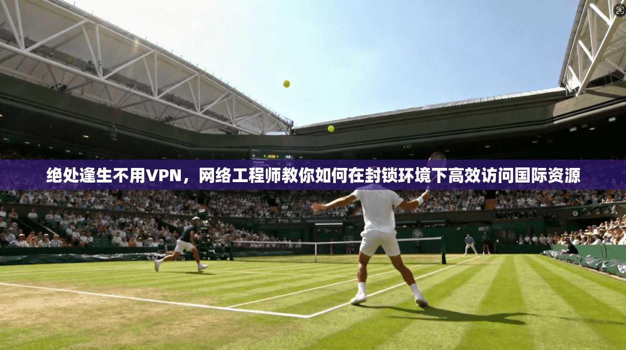 绝处逢生不用VPN，网络工程师教你如何在封锁环境下高效访问国际资源