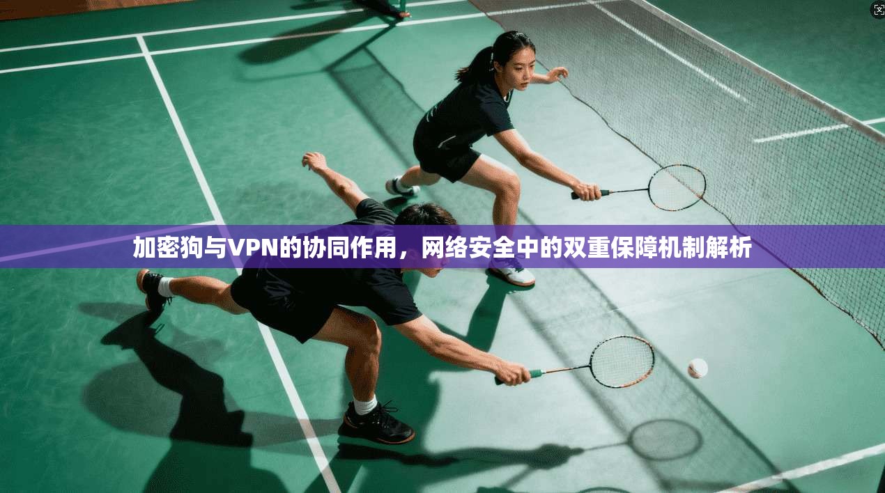 加密狗与VPN的协同作用,网络安全中的双重保障机制解析 加密狗与VPN的协同作用,网络安全中的双重保障机制解析