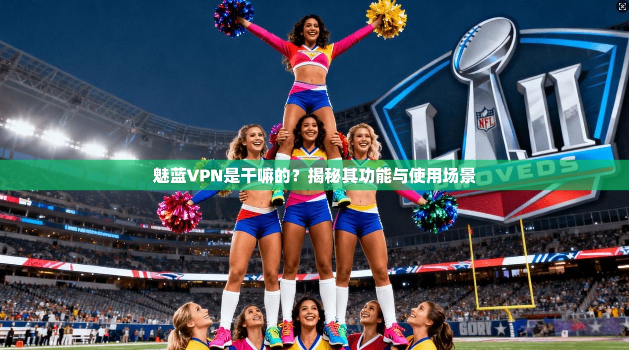 魅蓝VPN是干嘛的？揭秘其功能与使用场景
