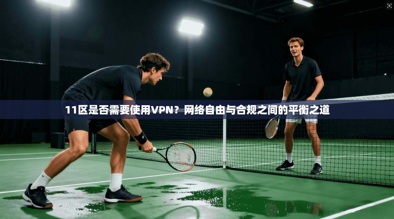 11区是否需要使用VPN?网络自由与合规之间的平衡之道 11区是否需要使用VPN?网络自由与合规之间的平衡之道