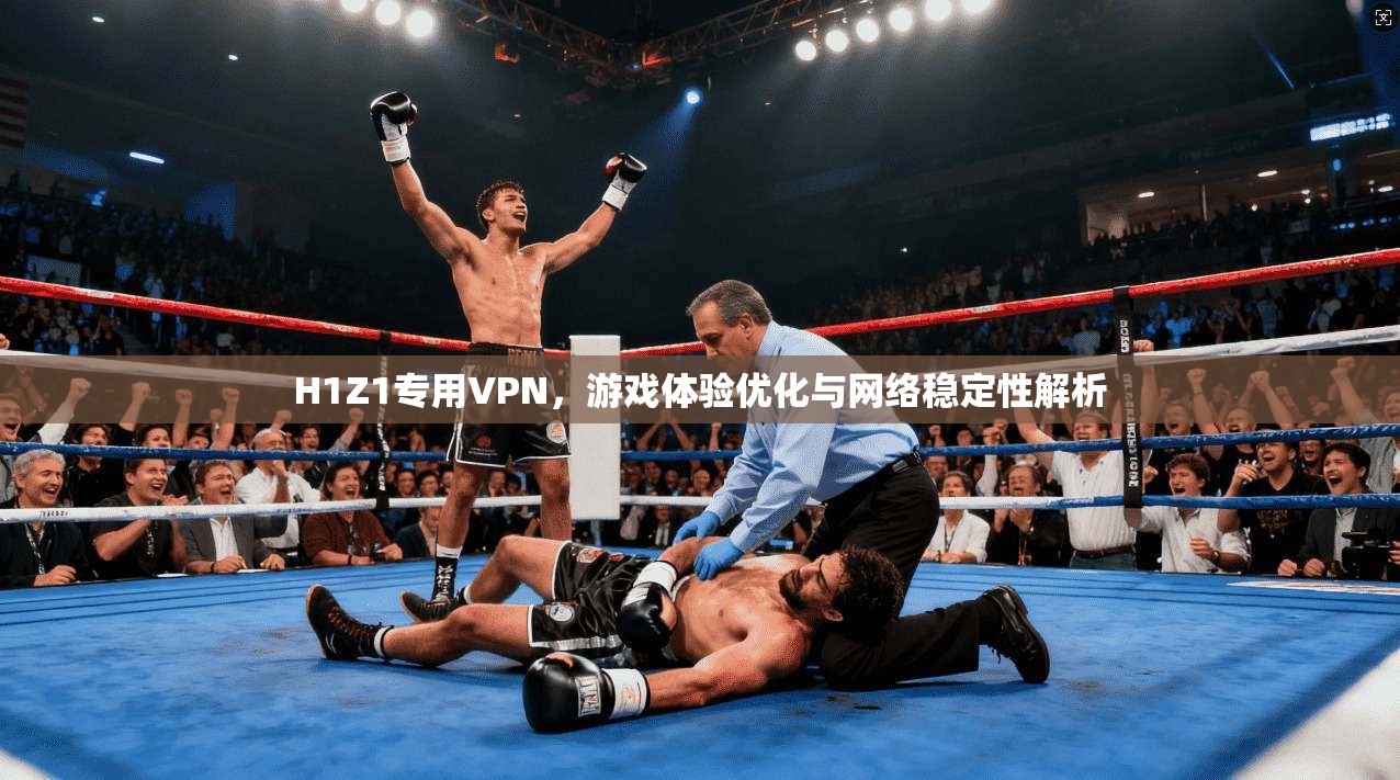 H1Z1专用VPN,游戏体验优化与网络稳定性解析 H1Z1专用VPN,游戏体验优化与网络稳定性解析