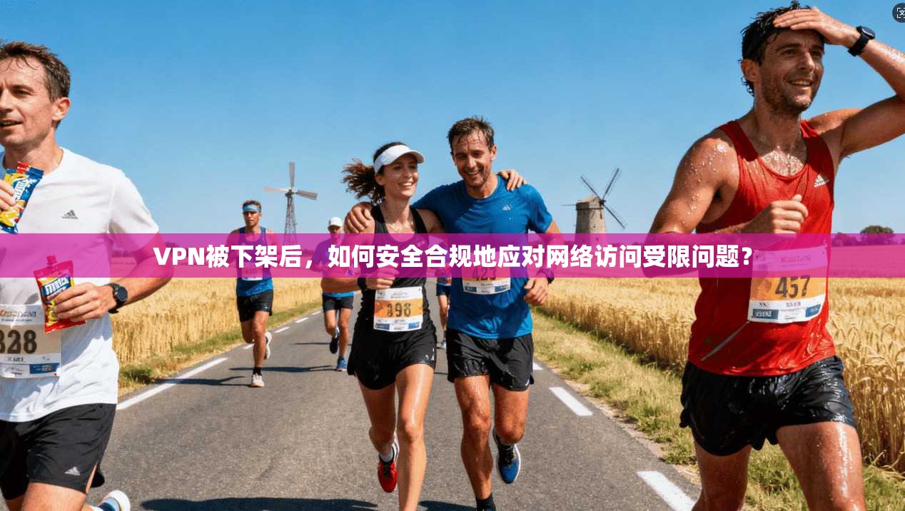 VPN被下架后,如何安全合规地应对网络访问受限问题? VPN被下架后,如何安全合规地应对网络访问受限问题?