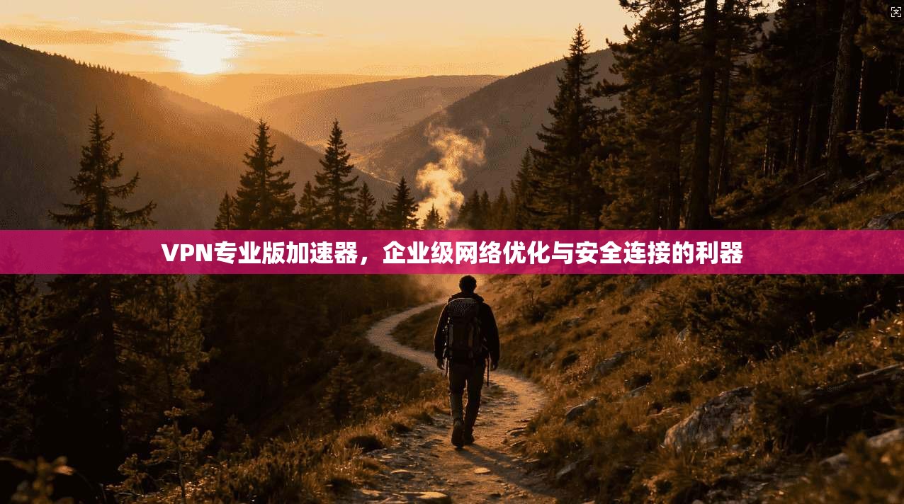 VPN专业版加速器,企业级网络优化与安全连接的利器 VPN专业版加速器,企业级网络优化与安全连接的利器