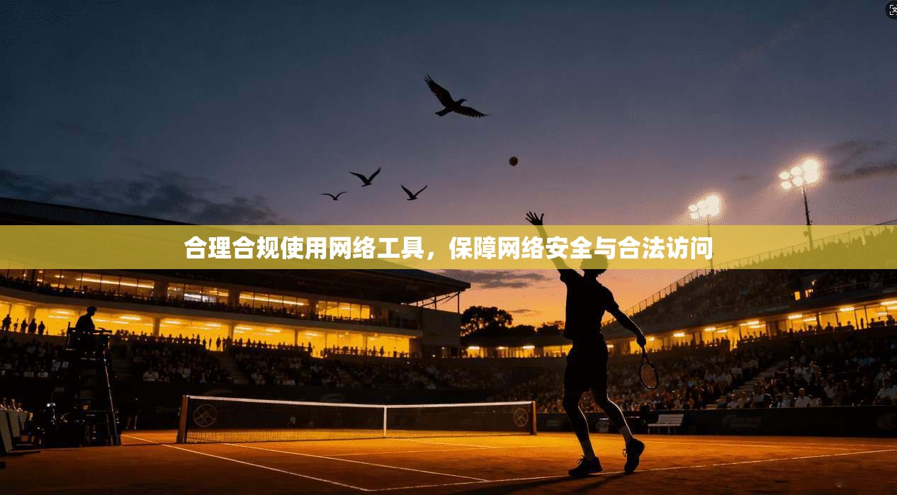 合理合规使用网络工具，保障网络安全与合法访问