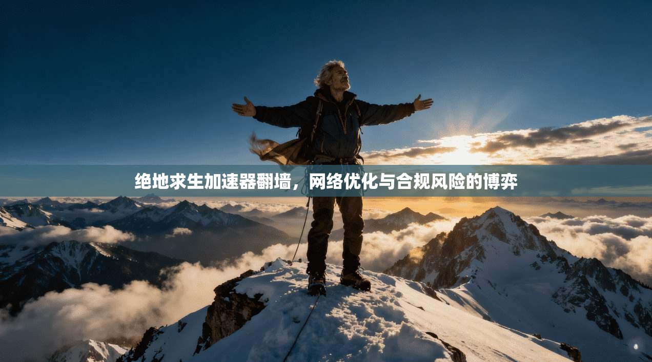 绝地求生加速器翻墙，网络优化与合规风险的博弈