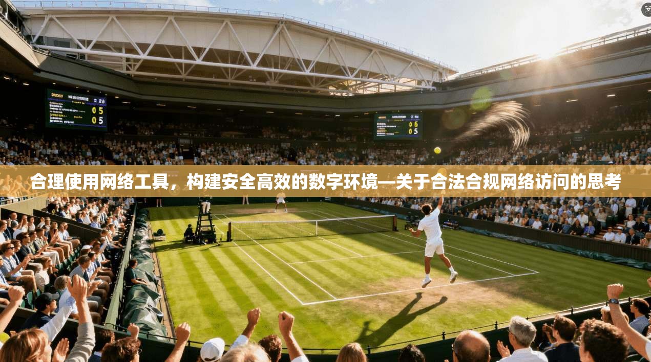 合理使用网络工具，构建安全高效的数字环境—关于合法合规网络访问的思考