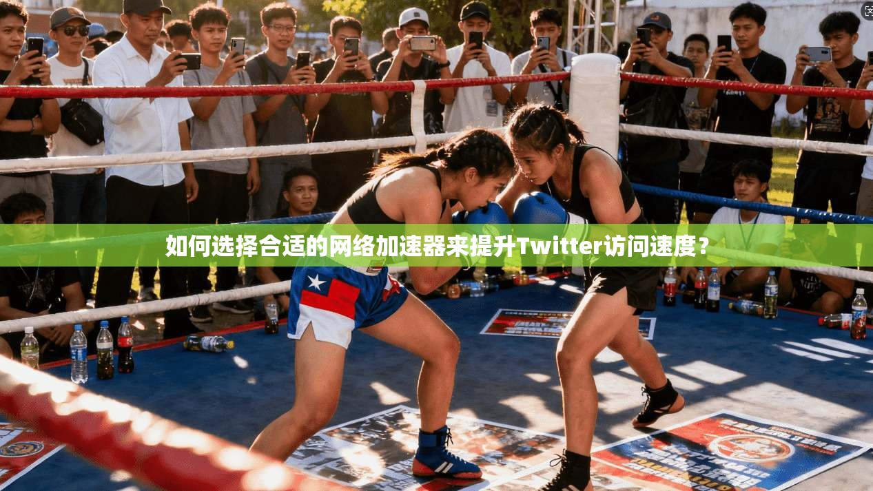 如何选择合适的网络加速器来提升Twitter访问速度？