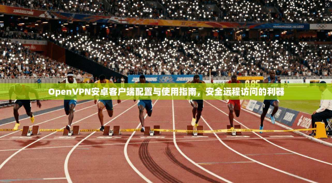 OpenVPN安卓客户端配置与使用指南，安全远程访问的利器