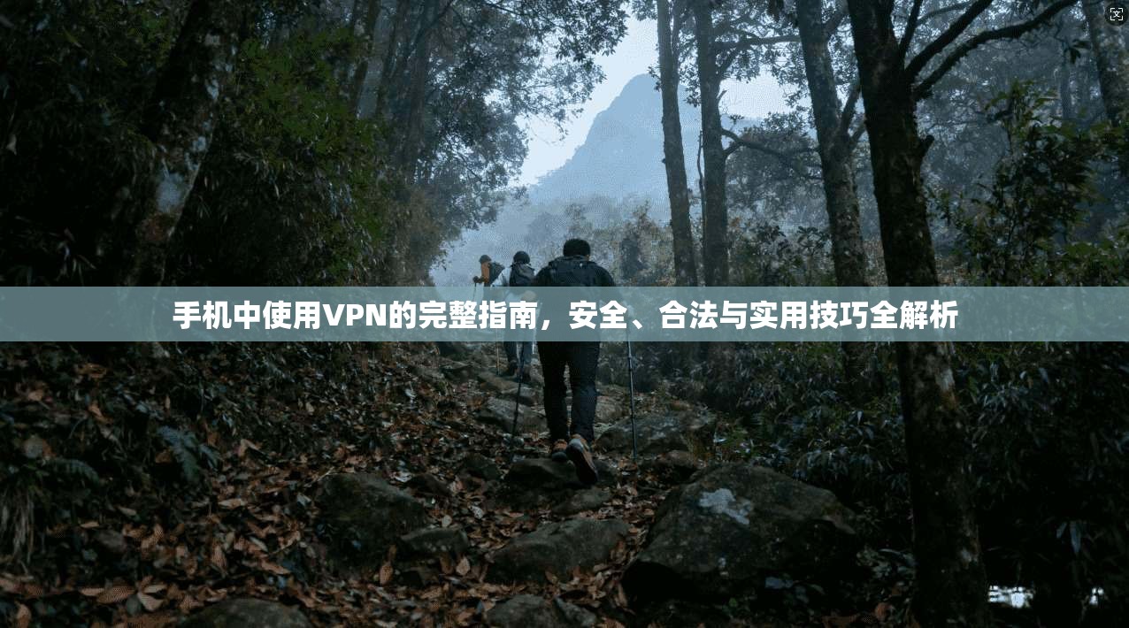 手机中使用VPN的完整指南,安全、合法与实用技巧全解析 手机中使用VPN的完整指南,安全、合法与实用技巧全解析