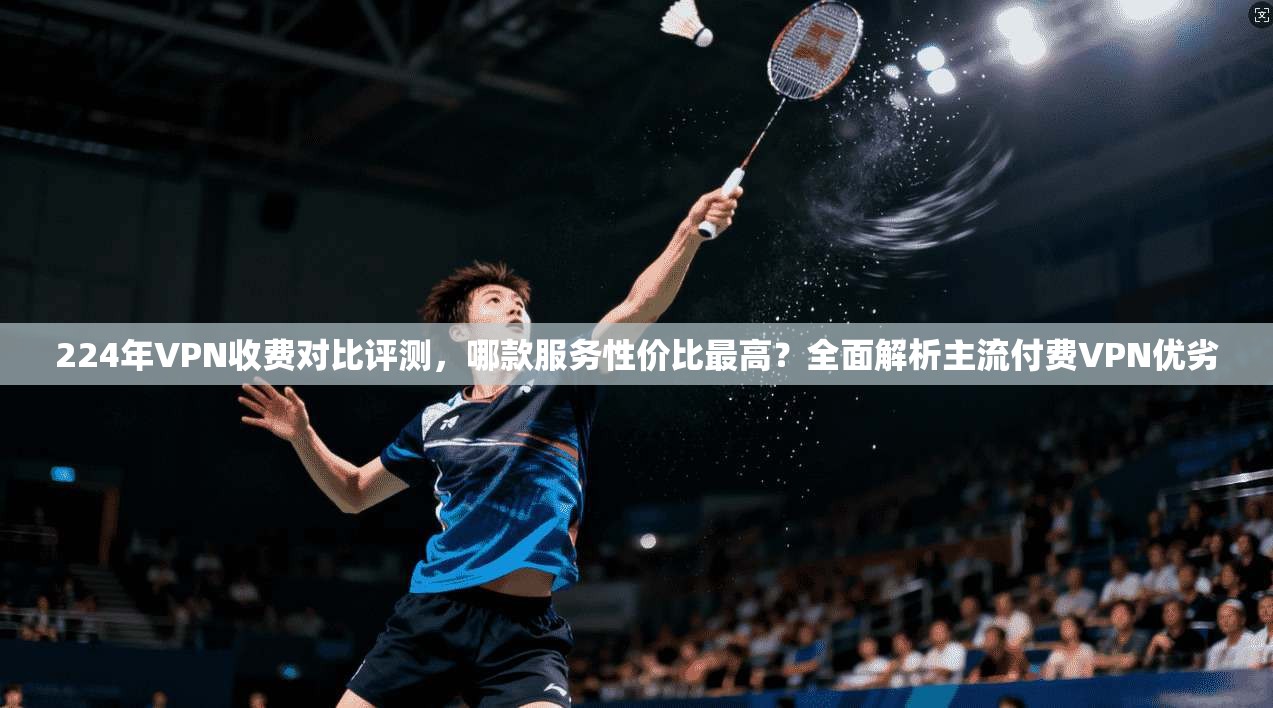 224年VPN收费对比评测，哪款服务性价比最高？全面解析主流付费VPN优劣