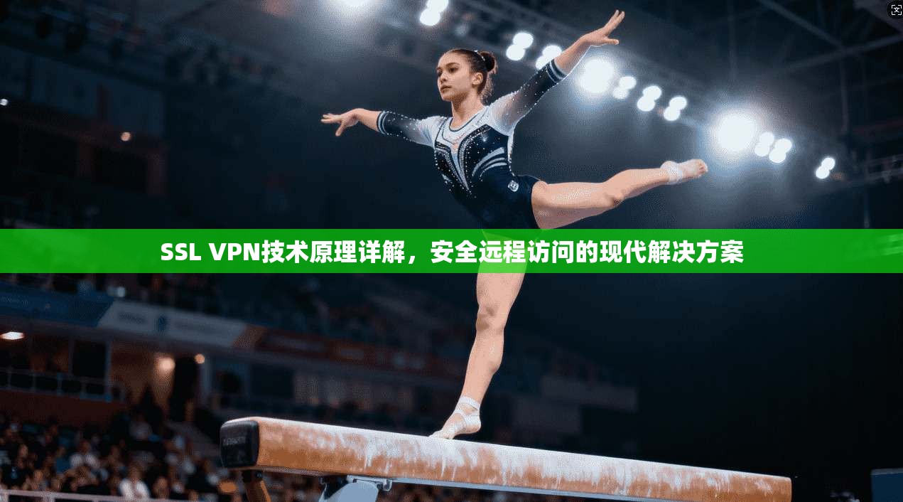 SSL VPN技术原理详解，安全远程访问的现代解决方案