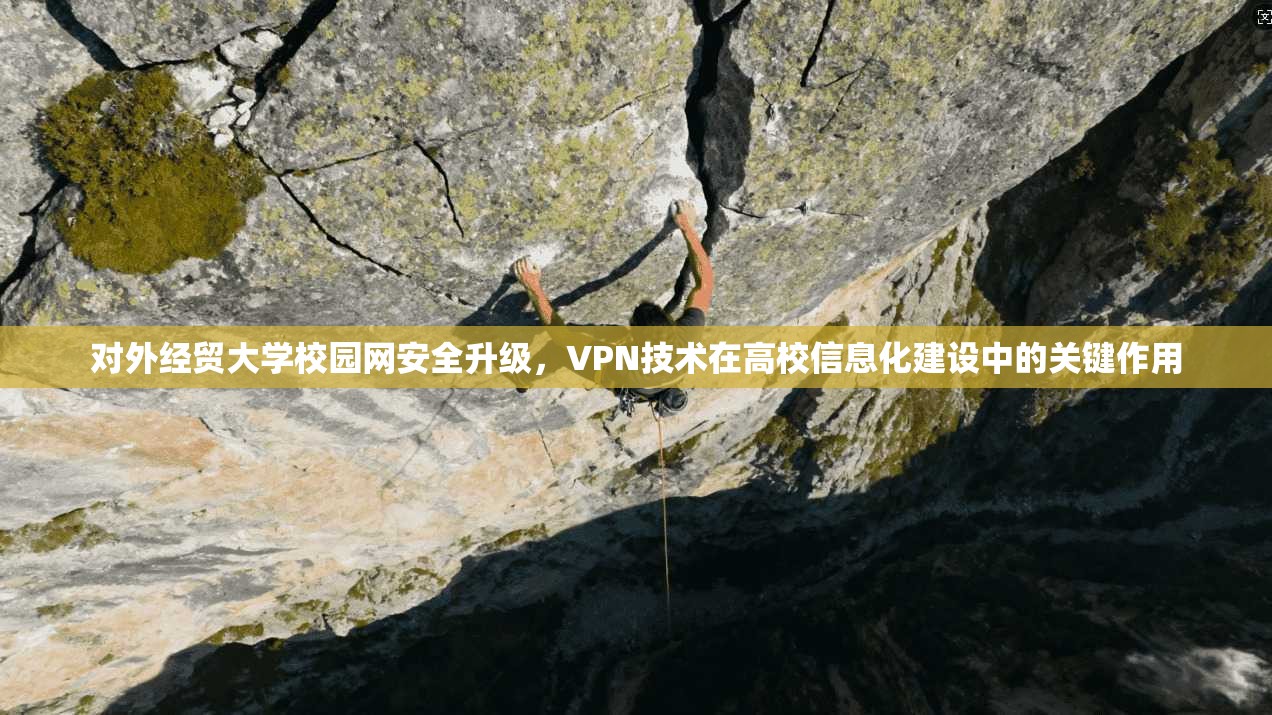对外经贸大学校园网安全升级，VPN技术在高校信息化建设中的关键作用