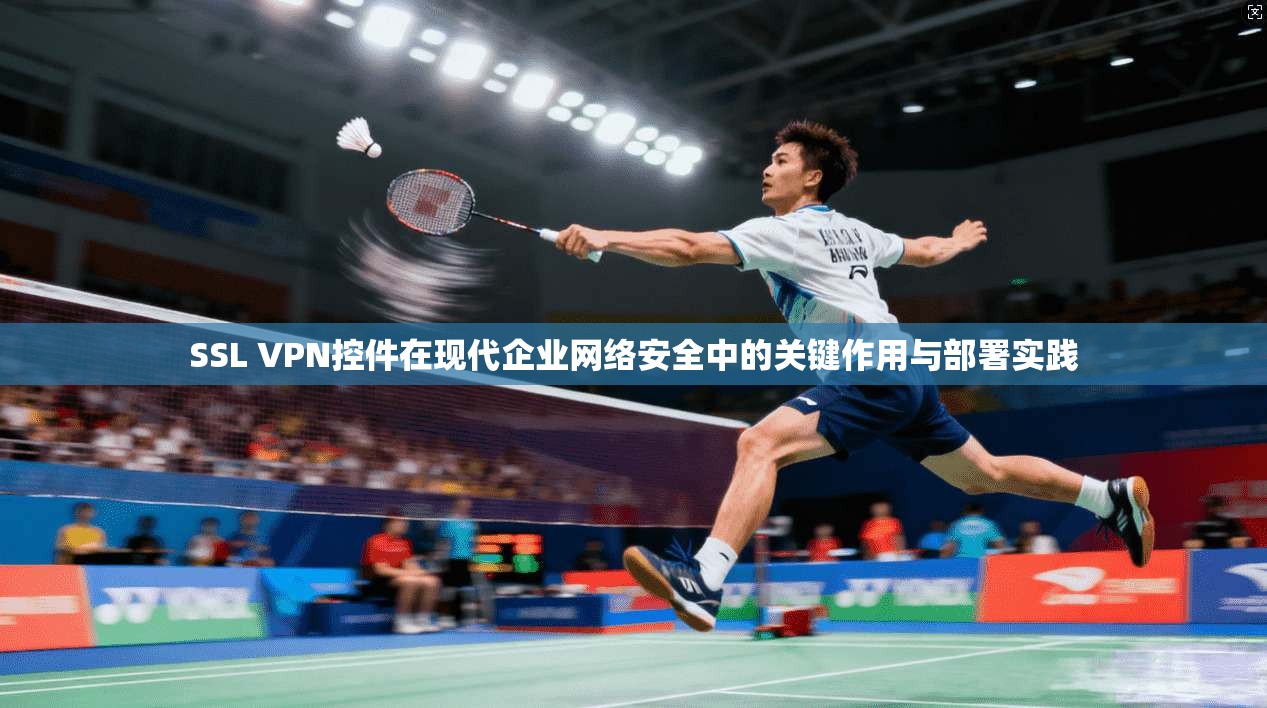 SSL VPN控件在现代企业网络安全中的关键作用与部署实践