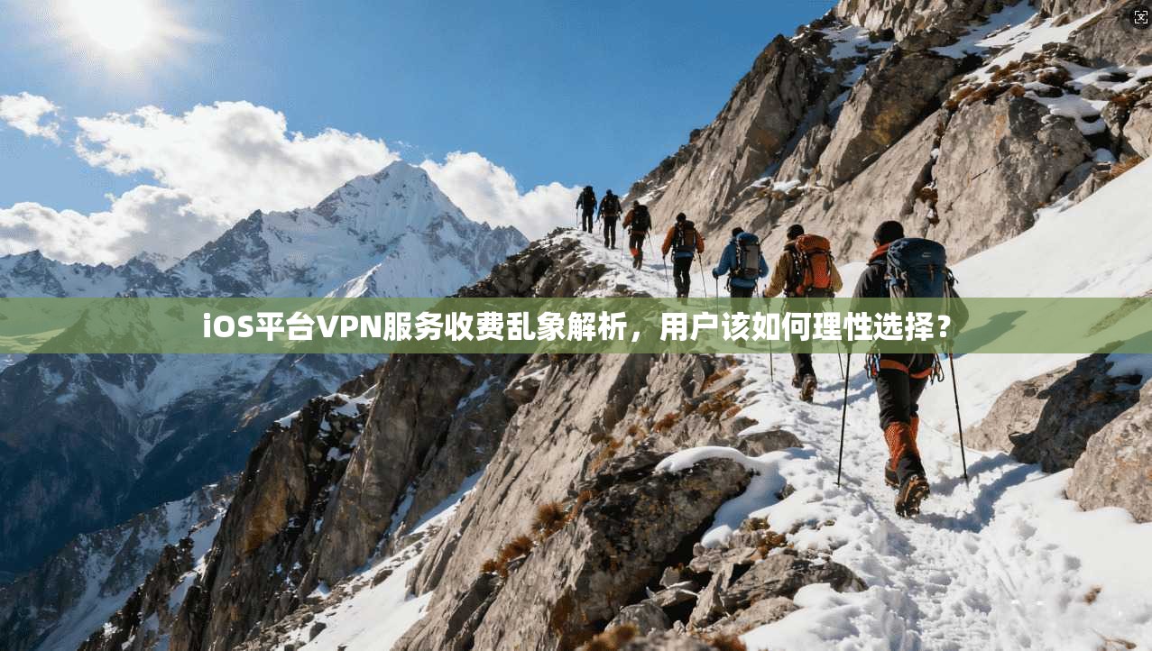 iOS平台VPN服务收费乱象解析,用户该如何理性选择?