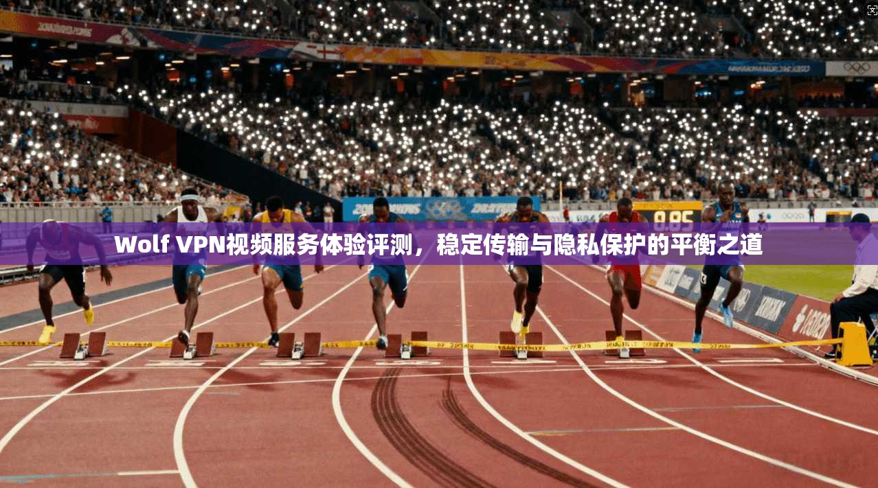 Wolf VPN视频服务体验评测,稳定传输与隐私保护的平衡之道