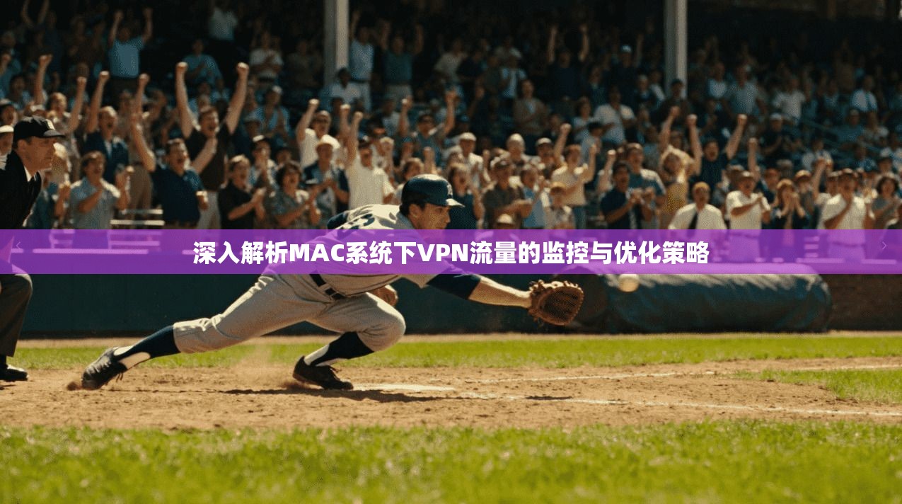 深入解析MAC系统下VPN流量的监控与优化策略